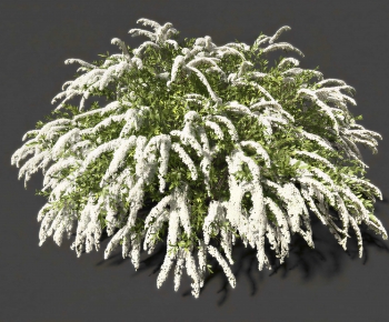 Modern Shrubbery-ID:402755024