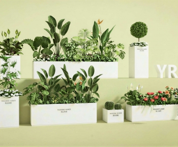 Modern Flower Bed, Flower Bowl, Flower Box-ID:349251993