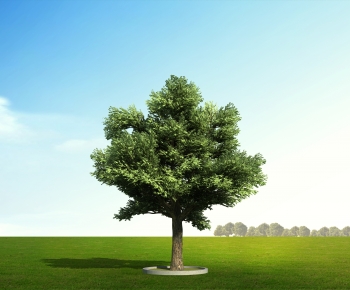 Modern Tree-ID:407936104