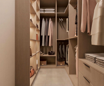 Modern Clothes Storage Area-ID:446656949