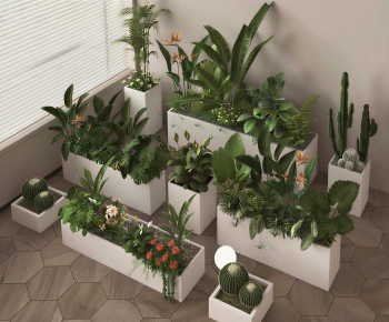Modern Flower Bed, Flower Bowl, Flower Box-ID:904361011