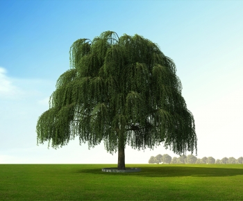 Modern Tree-ID:583226922
