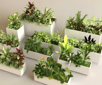 Modern Flower Bed, Flower Bowl, Flower Box-ID:710356955