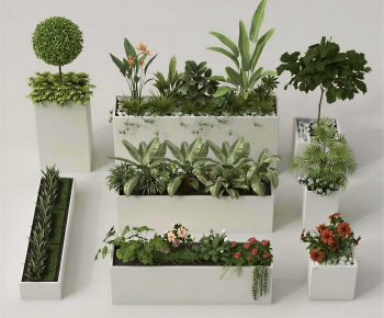 Modern Flower Bed, Flower Bowl, Flower Box-ID:272675992