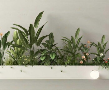 Modern Flower Bed, Flower Bowl, Flower Box-ID:334177975