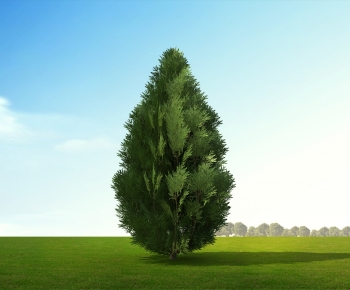 Modern Tree-ID:874424938