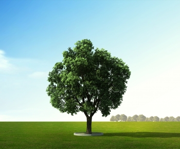 Modern Tree-ID:316369066