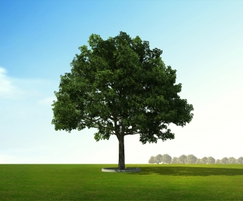 Modern Tree-ID:987894064