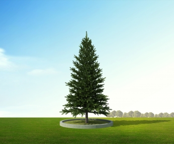 Modern Tree-ID:342118983