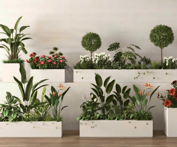 Modern Flower Bed, Flower Bowl, Flower Box-ID:389842033