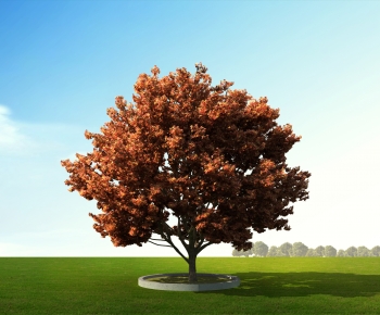 Modern Tree/shrub/grass-ID:185245048