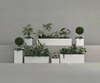 Modern Flower Bed, Flower Bowl, Flower Box-ID:649516118