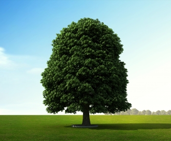 Modern Tree-ID:910136946