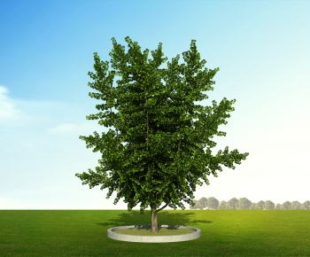 Modern Tree-ID:581831931