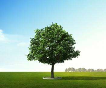 Modern Tree-ID:153947113