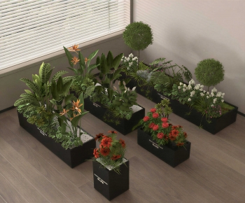 Modern Flower Bed, Flower Bowl, Flower Box-ID:115571029