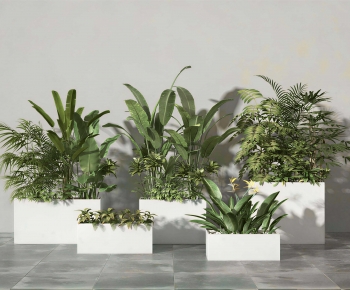 Modern Flower Bed, Flower Bowl, Flower Box-ID:646289111