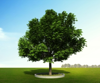 Modern Tree-ID:927351958