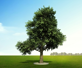 Modern Tree-ID:768086919