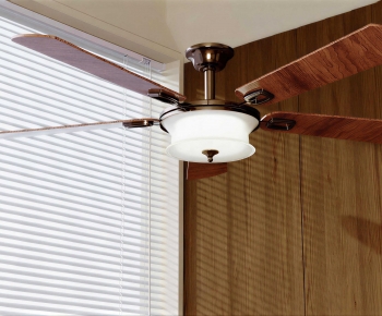 Modern Fan-ID:998996021