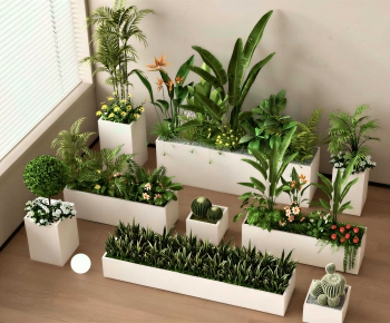 Modern Flower Bed, Flower Bowl, Flower Box-ID:255976928