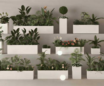 Modern Flower Bed, Flower Bowl, Flower Box-ID:847177037