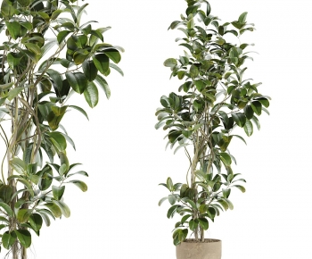 Modern Ground Green Plant Potted Plants-ID:935595993