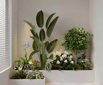 Modern Plant Landscaping-ID:310950993