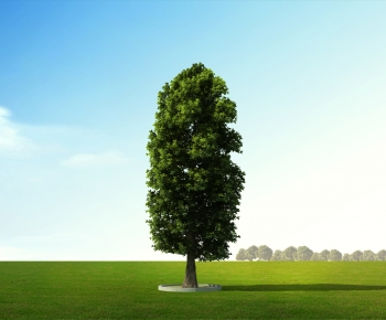 Modern Tree-ID:398195036