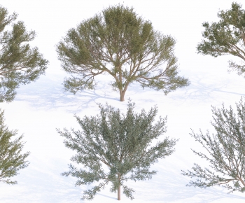 Modern Tree-ID:837510112