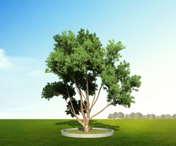 Modern Tree-ID:185803892