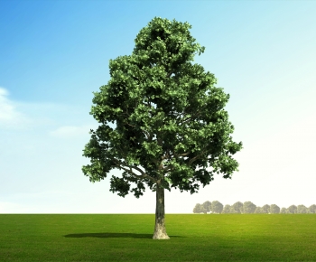 Modern Tree-ID:193362008