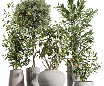Modern Ground Green Plant Potted Plants-ID:953424937