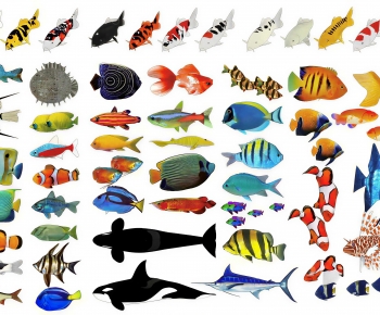 Modern Aquatic Animals-ID:595160964