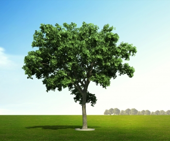 Modern Tree-ID:624624016