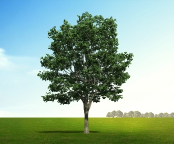 Modern Tree-ID:332020048