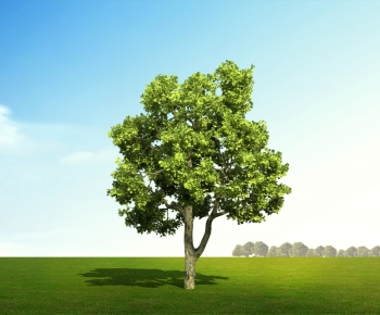 Modern Tree-ID:872100117