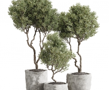Modern Ground Green Plant Potted Plants-ID:736366031