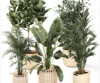 Modern Ground Green Plant Potted Plants-ID:779550195