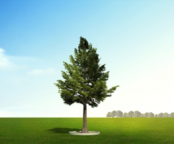 Modern Tree-ID:371738916