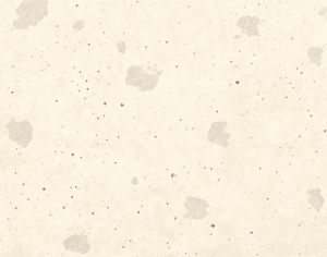 ModernTerrazzo