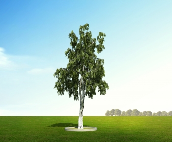 Modern Tree-ID:794611015
