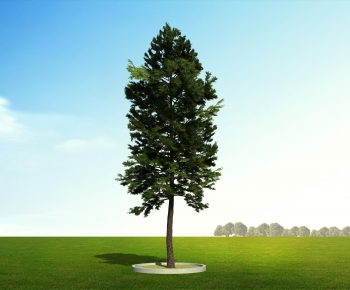 Modern Tree-ID:908504014