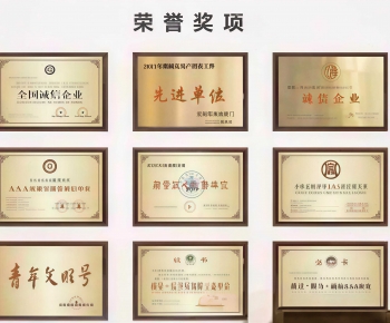 Modern Flag/badge/trophy/certificate-ID:624480013