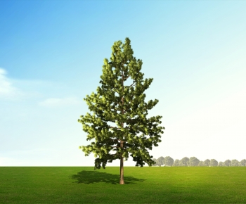 Modern Tree-ID:218281032