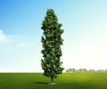 Modern Tree-ID:625031028