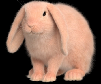 Modern Mammal-ID:493071178