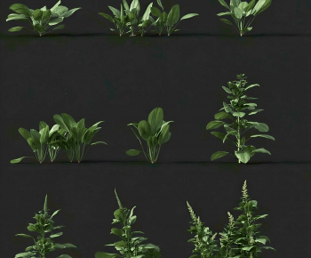 Modern Crop-ID:254781962