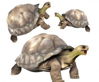 Modern Reptile-ID:296025999