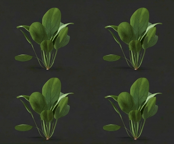 Modern Crop-ID:723519395